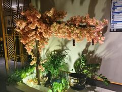 -合和大唐(江夏纸坊店)