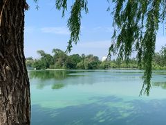 -莱西月湖公园