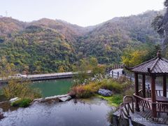-后柳水乡