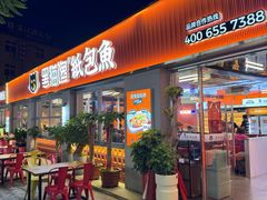 -黑猫馋纸包鱼(阳光店)
