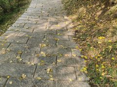 -金龙寺国家森林公园