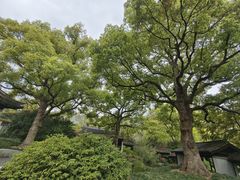 -惠山古镇·寄畅园