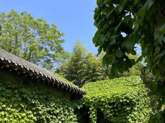 -济南大明湖景区
