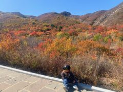 -建平天秀山森林公园