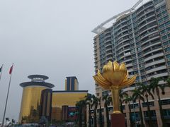 -金莲花广场