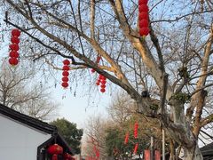 -润和祥小砵头甜酒酿