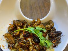 -园林美食城·本土农家菜(杨和镇店)