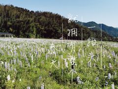 -梅岭神龙潭