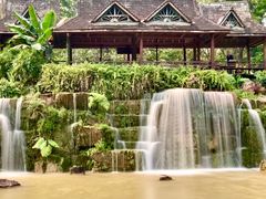 -中国科学院西双版纳热带植物园