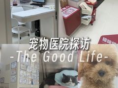 -御宝贝24h宠物医院·转诊中心·CT核磁血透中心(厦门总院)