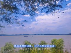 -滨江生态公园