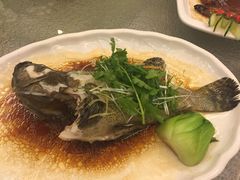 -北海渔村酒楼·粤菜海鲜点心(新华店)