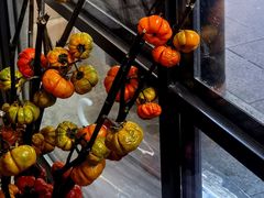 -foodoo芙多松饼店