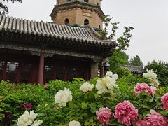 -晋祠公园