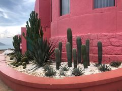 -漳州滨海火山岛自然生态风景区