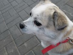 -小蛮椒麻辣烫·麻辣拌(静安店)