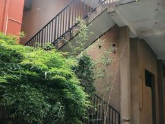 -嘉善老市