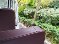 -纽道沸巫山纸包鱼(中海国际店)