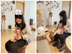 -猫腻·猫咖·撸猫馆(星光大道店)