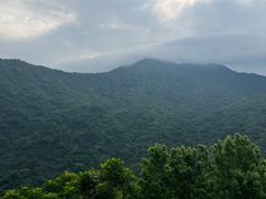 -梧桐山风景名胜区