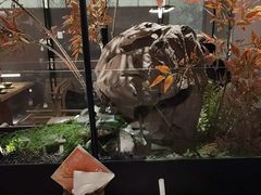 -绿茶餐厅(青岛城阳万象汇店)