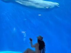 -海合安成都极地海洋公园