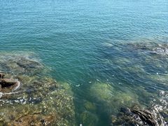 -鱼市酒店(威海水产批发市场店)