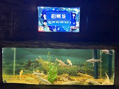-白鹿仓冰雪海洋世界