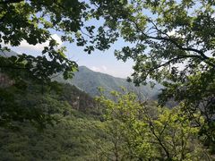 -五女峰国家森林公园