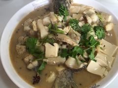-煲来饱去冷水鱼