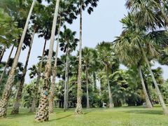 -中国科学院西双版纳热带植物园