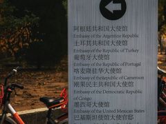 -三里屯东五街银杏大道