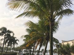 -白沙门生态公园