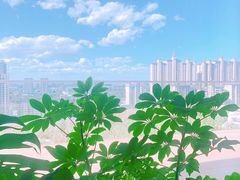 景观位-Seesaw Coffee(朝阳大悦城店)