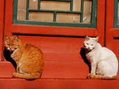 -晋阳饭庄(虎坊桥店)