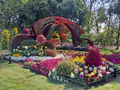 -上海共青森林公园