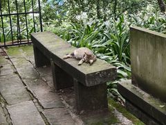 -丰都鬼城名山景区