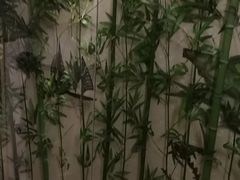 -肘子酥·天津菜·特色捞面(德云社店)