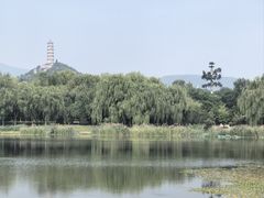 -北坞公园
