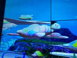 -Zoolung Zoolung动物主题公园(海信广场店)