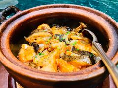 -甄御•海鲜新青岛菜(麦岛店)