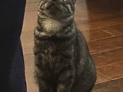 -阿妮叶李(光谷世界城店)