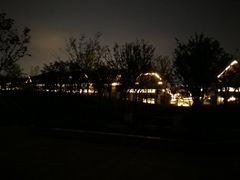 -九龙湖公园