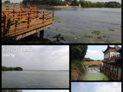 -同里湖度假村(二期店)