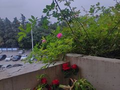 -重庆平顶山公园
