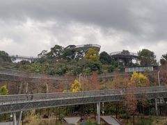 -福道