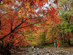 -沈阳辉山风景区