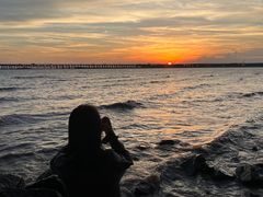 -宝安西湾红树林湿地公园