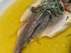 鸡汁蒸黄鱼-秀儿四九城·新京菜(亚运村鸟巢店)