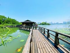 -渤公岛生态公园